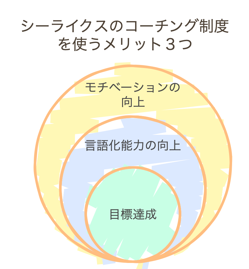シーライクスのコーチング制度を使うメリット３つ！