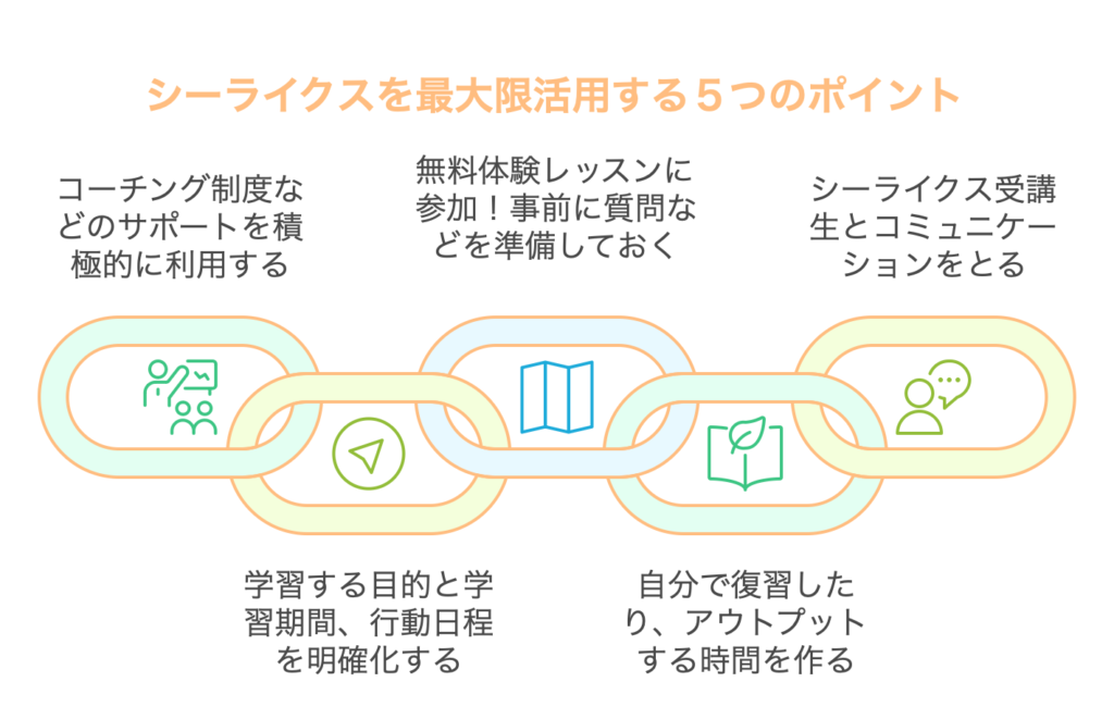 シーライクスを最大限活用する５つのポイント