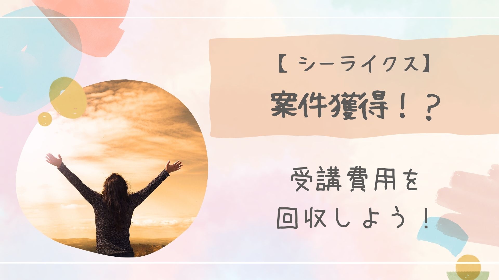 シーライクス案件