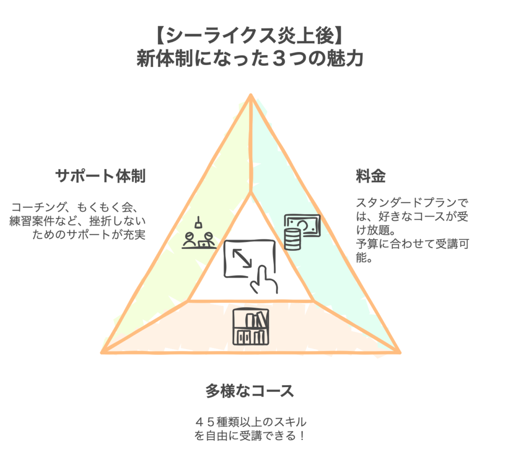 【シーライクス炎上後】新体制になった魅力をご紹介!